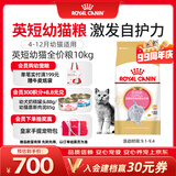 皇家猫粮 英短幼猫粮 BSK38 4-12月 10KG
