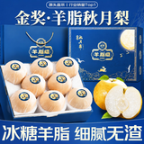 甜萌果蔬山东秋月梨【闪送】新鲜当季水果冰糖梨送人送礼水果年货送礼盒 5斤巨无霸特大果【单果约450+】净重4.5斤