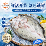 恒兴食品三去开背海鲈鱼1.05kg 3条装 鲜活去鳞去鳃去内脏中秋聚餐送礼
