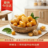 京鲜生 姑娘果/灯笼果  1斤装 生鲜水果