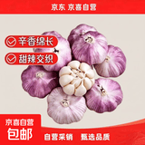 京喜自营金乡大蒜大蒜带皮新鲜干蒜源头直发包邮 净重1斤 5.0-5.5公分