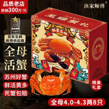 【活蟹】漁家师傅大闸蟹全母4.0-4.3两8只 去绳足重鲜活螃蟹现货生鲜水产礼盒 中秋送礼