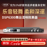 麦乐迪DSP6300卡拉ok混响器 数字音频前级效果器 家庭影院防啸叫调音台处理器含话筒 调音台均衡器 DSP6300蓝牙升级版(含线) 标准版