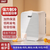 先科迷你小冰箱mini冷冻冷藏车载家用宿舍母乳办公室学生小型冰柜 星光银 车家两用 PD- 16L