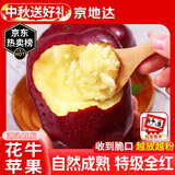 京地达甘肃天水花牛苹果水果时令净重8.5斤单果85mm节日源头直发包邮