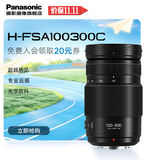 松下变焦镜头 M4/3卡口 微单/数码照相机/M4/3画幅相机用 广角中焦长焦 G100D/G97/G9M2/GH7等适用 100-300mm二代丨F4.0-5.6丨长焦动物