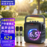 特美声音响SL05-26广场舞户外音响K歌唱歌家用演出大功率便携式手提蓝牙音箱美声话筒移动手提音箱 SL06-26+双话筒+歌曲U盘