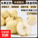 水果正宗河北皇冠梨深县皇冠梨产地直发翠冠梨 带箱4斤净重3.5斤