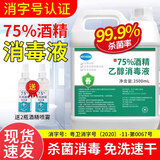 雅艺75%酒精消毒液家用75度乙醇杀菌消毒剂免洗手速干杀菌消毒喷雾剂 2500ml*1瓶（送2瓶100ml)
