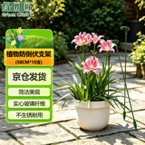 绿园匠植物防倒伏支撑杆玻纤爬藤架固定盆栽花卉护花叶花支架58厘米10支