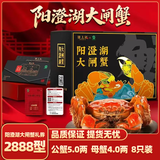 【礼券】 隆上记 阳澄湖大闸蟹礼券2888型公蟹5.0两/只母蟹4.0两/只4对8只螃蟹中秋送礼