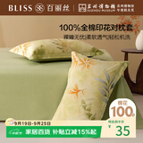 百丽丝枕套100%全棉枕套枕巾纯棉学生枕头罩枕套一对枕头套单件 48x74cm