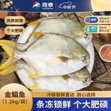 翔泰海南深海金鲳鱼2.4斤/3-4条净重BAP认证生鲜鱼类 海鲜水产