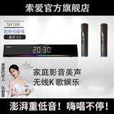 索爱（soaiy）电脑音响SH18蓝牙K歌音箱家用桌面低音炮双麦多媒体台式机笔记本USB迷你小钢炮情人节礼物双麦版黑