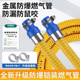 防爆天然气液化气燃气管煤气灶具连接用热水器金属软管防鼠咬家用 波纹铠装防爆管3米