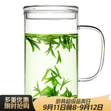雅集豪饮杯玻璃杯办公室 耐热大容量办公水杯 男士带盖泡茶杯子850ml