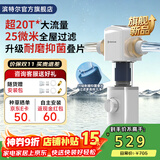 滨特尔（pentair）前置过滤器20T大通量家用25微米叠片 全屋自来水管道过滤器大流量净水器排行前十名 【新款升级】L250抗菌叠片-25μm