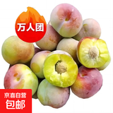 脆甜青脆李脱骨李 新鲜现摘小孩孕妇水果 分享装带箱3斤 果王蕞甜