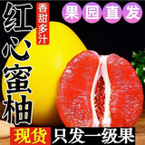 玖原农珍 福建平和琯溪红心蜜柚 新鲜现摘柚子中秋礼盒水果 净重9斤优选果（约3个）