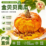 京鲜生＆岸念安心菜金贝贝南瓜粉糯 净重4.5斤单果230g+ 源头直发