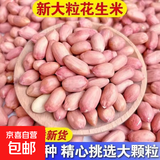 白沙花生花生米新鲜花生优质精选农家自产滋补养血圆花生泡酒煮粥 花生豆 500g*1袋