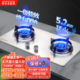 好太太亿美燃气灶双灶煤气灶家用鸳鸯灶台式嵌入式猛火炉具炉盘 五环钢火盖+不锈钢 瓶装液化气5.0KW