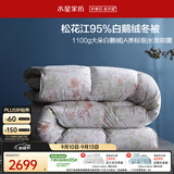 水星家纺羽绒被95%白鹅绒被子冬季加厚冬被芯双人羽绒被220cm×240cm1100g