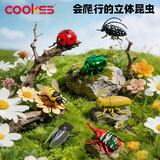 COOKSS立体昆虫发条玩具儿童益智爬行仿真动物模型早教认知生日礼物礼盒