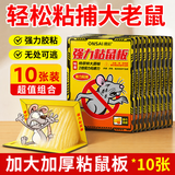 拥彩粘鼠板强力沾鼠贴加厚玉米花生诱饵捕鼠神器家用一窝端防潮10片装