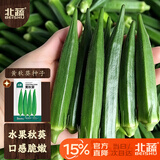 北蔬秋葵种子苗不易老农家阳台小院秋冬四季种蔬菜籽 黄秋葵种子120粒