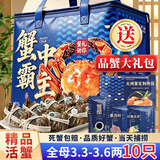 【活蟹】蟹宗现货鲜活大闸蟹全母3.3-3.6两10只生鲜螃蟹海鲜中秋节礼品礼盒节日送礼