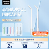 松下（Panasonic）高频脉冲水流喷嘴冲洗残渣 适用于小圆管1331/DJ33  2支装WEW0987W405