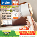 海尔（Haier）手持挂烫机30g爆炸蒸汽160ml水箱家用便携大蒸汽电熨斗小型迷你差旅干湿平挂两用熨衣神器HSS-B08W