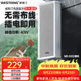 威斯汀吸顶音响家庭影院壁挂式喇叭户外防水有源音柱5002一个 学校商用超市店铺公共广播音箱峰值功率40W
