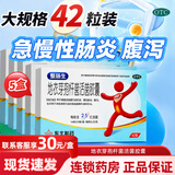 [整肠生]地衣芽孢杆菌活菌胶囊 0.25g*42粒 5盒装 0.25g*42粒粒成人儿童急慢性肠炎腹泻 肠炎药 颗粒 益生 菌 2盒以上30元/盒