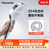 松下（Panasonic）C5手持花洒配1.5米软水管套装(软管非松下品牌)