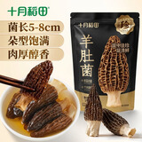 十月稻田 羊肚菌 10g（5-8cm）云南产 菌菇汤包 鸡汤煲汤火锅食材