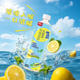 界界乐柠檬薄荷味 乳酸菌风味果蔬汁饮品 500ml*6瓶 中秋送礼 分享装