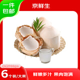 京鲜生海南国产椰青6粒 单果700g+  生鲜应季水果 源头直发