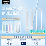 松下（Panasonic）高频脉冲水流喷嘴冲洗残渣 适用于小圆管1331/DJ33  4支装WEW0987W405