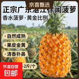 广东湛江徐闻菠萝 香水菠萝 热带水果 【活动期间合并发货】1个 净重1.3-2斤