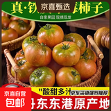 丹东草莓西红柿铁皮柿子水果味番茄产地直发新鲜蔬菜生鲜 带箱 6斤