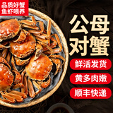【活蟹】网兜蟹六月黄鲜活小螃蟹净重足重淡水大闸蟹公母河蟹 五元蟹[0.8-1.1两]24只+2只备损