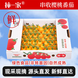京鲜生柿一家 黄宝石串收樱桃番茄礼盒1kg 小西红柿国庆出游源头直发