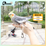 高能鹦鹉鹦鹉专用放飞绳子玄凤牡丹小太溜鸟绳外出牵引绳飞行绳含活扣脚环 3米放飞绳+4号脚环