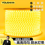 悠驰灯带led灯条户外防水220v自粘氛围硅胶别墅外墙屋檐线形照明灯
