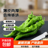 【东东买菜】新鲜薄皮肉厚香辣螺丝椒新鲜采摘青椒虎皮辣椒 新鲜螺丝椒3斤