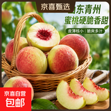 【东东农场专供】山东青州蜜桃露天水蜜桃新鲜水果桃子整箱 带箱9斤果王 净重8.2斤（单果140g+）