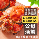 【活蟹】乾澄大闸蟹现货 公3.0-3.3两母2.0-2.3两 10只5对 鲜活螃蟹海鲜礼盒中秋礼品