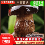 【空运】新鲜黑牛肝菌云南高端菌菇特级美味食用菌菇蔬菜煲汤生鲜 黑牛肝菌1斤装净重